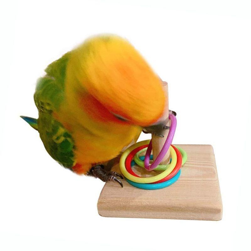 Bird Training Ring Toy Parrot  - огляд і ціна Gymnastic Ring Wood