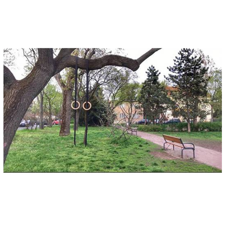 ABYM 38Mm Birch Wood Gymnastic - огляд і ціна Gymnastic Ring Wood