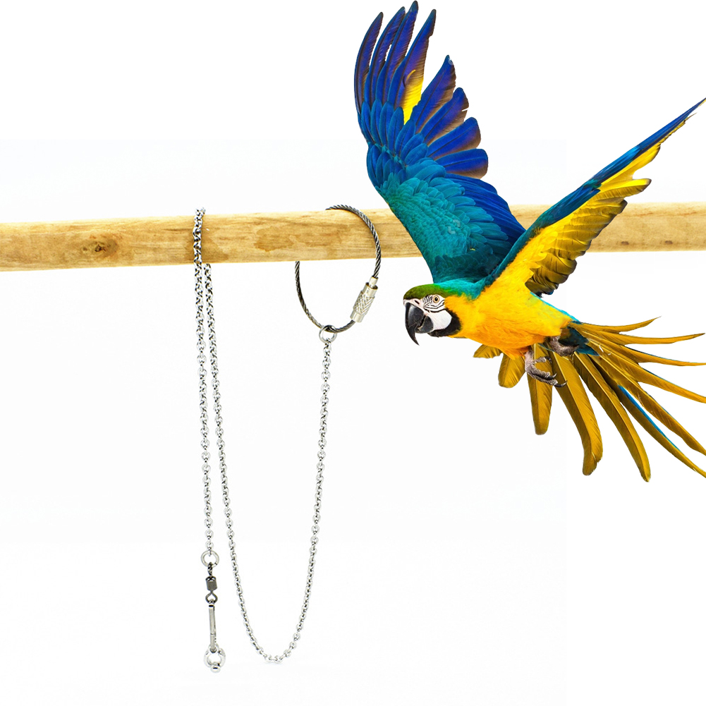 1Pcs Pet Parrot Leg Ring Ankle - огляд і ціна Gymnastic Ring Wood
