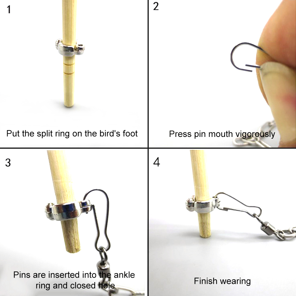 1Pcs Pet Parrot Leg Ring Ankle - огляд і ціна Gymnastic Ring Wood